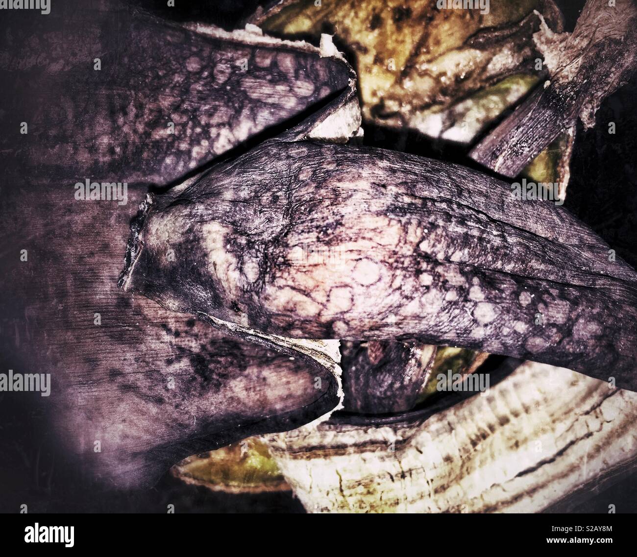 Decay banana hires stock photography and images Alamy