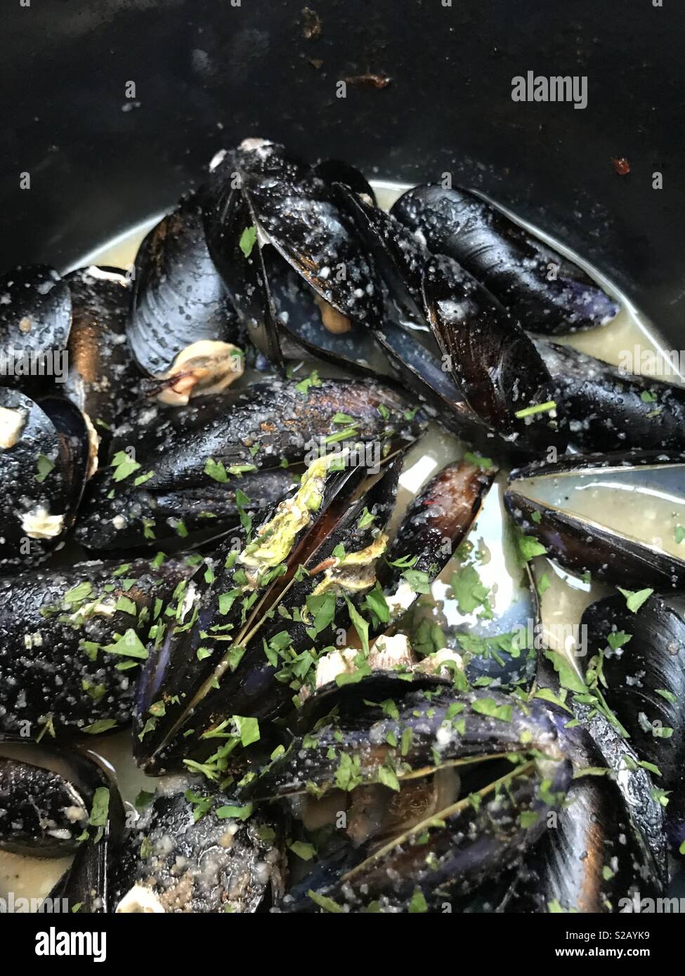 Black seashells hires stock photography and images Alamy