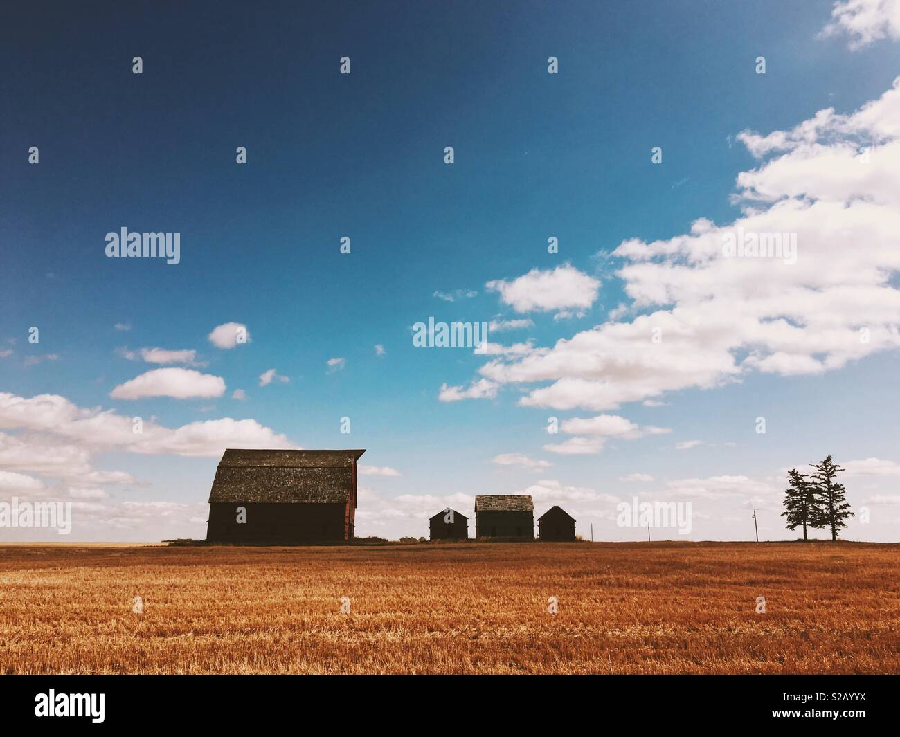 Old barns in the countryside under a blue late summer sky in rural Saskatchewan, Canada. - Smartphone Captured Stock Image