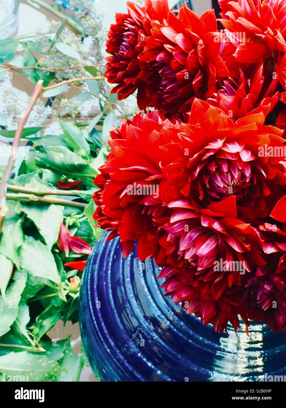 Cheerful centerpiece hi-res stock photography and images - Alamy