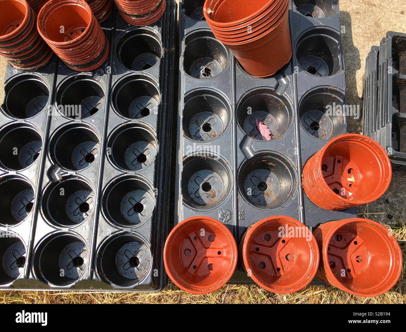 Plant pots ready for potting up - Smartphone Captured Stock Image