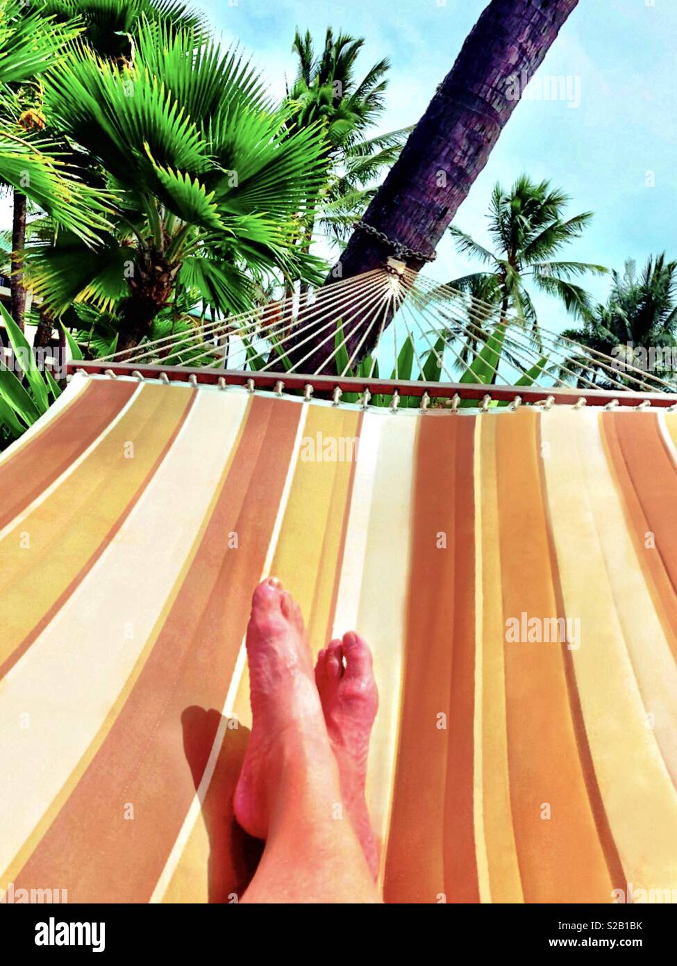 Hammock in Hawaiian paradise, first person view of man’s legs and feet - Smartphone Captured Stock Image