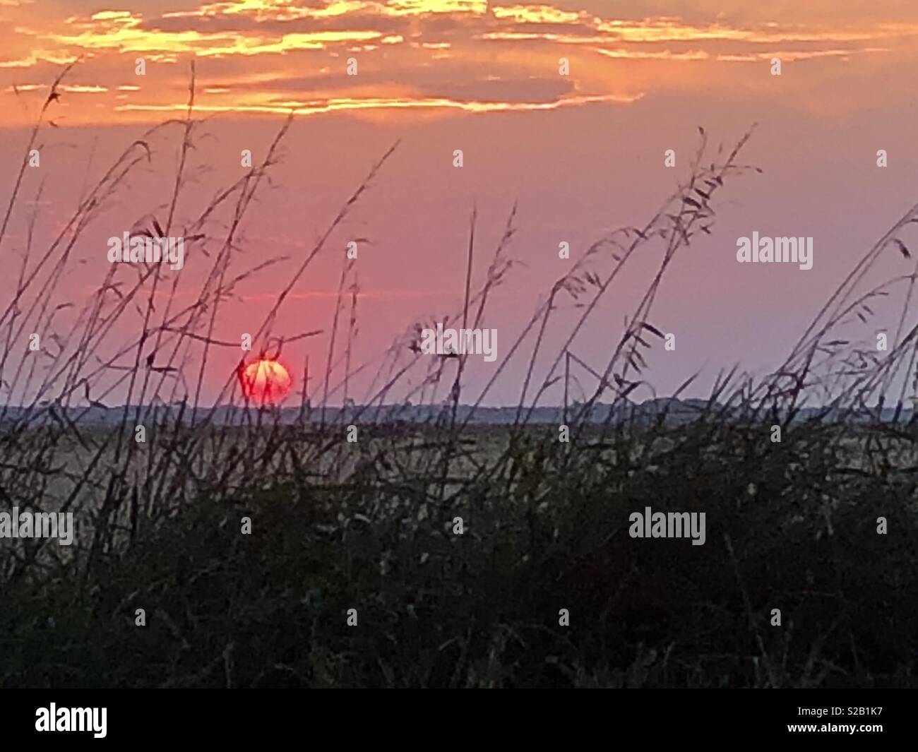 The sun sets over the soy bean fields in central Illinois. - Smartphone Captured Stock Image