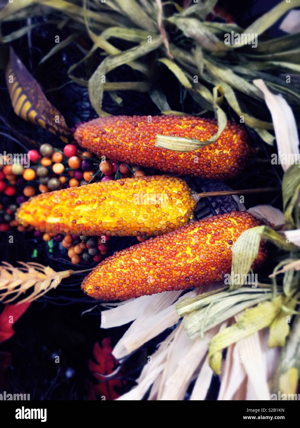 Autumn Decorations Of Indian Corn Usa Stock Photo 311258745 Alamy