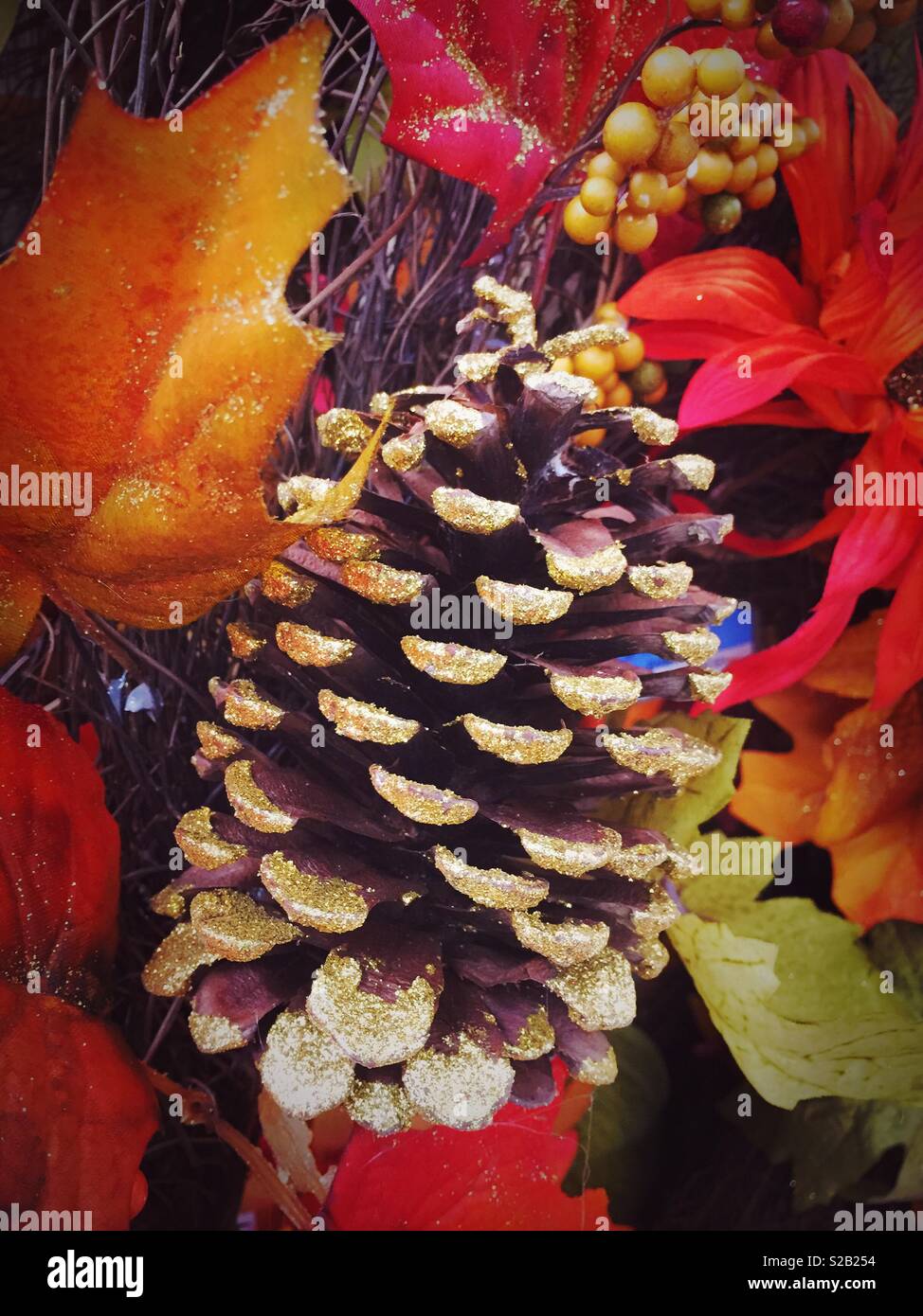 Pine cone Autumn ornament close-up USA - Smartphone Captured Stock Image