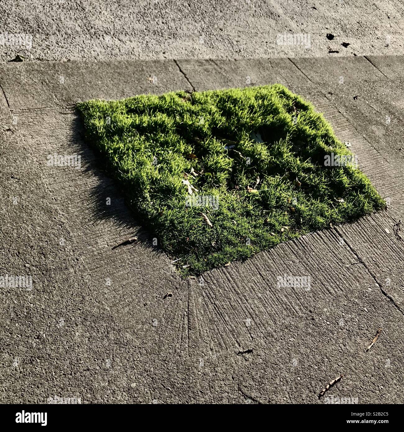 A square patch of green grass in concrete on a street in Dublin. Stock Photo