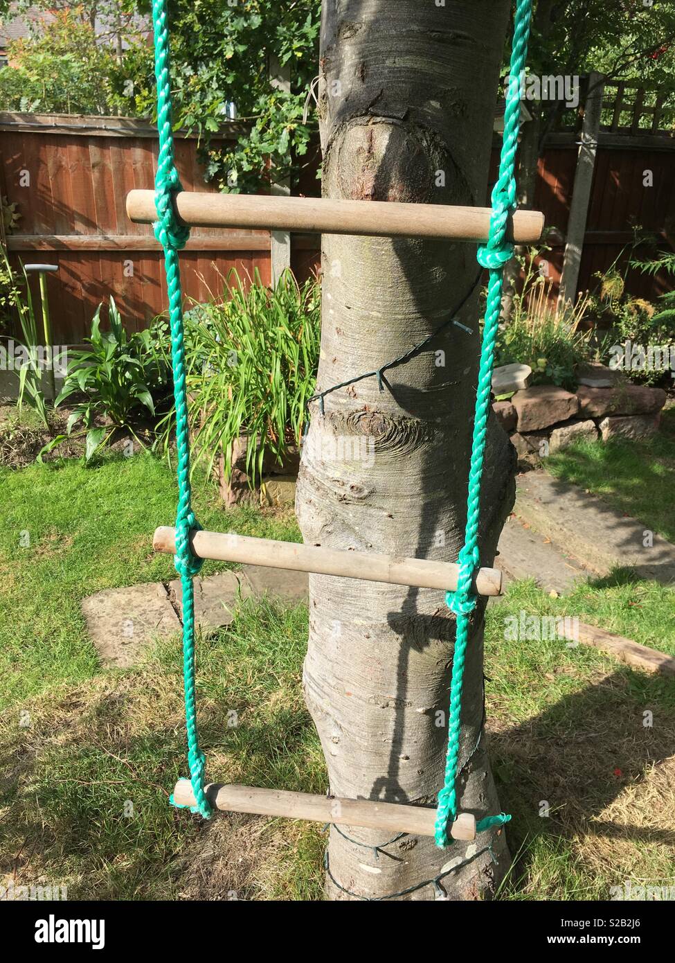 Rope Hanging From Tree High Resolution Stock Photography and Images - Alamy