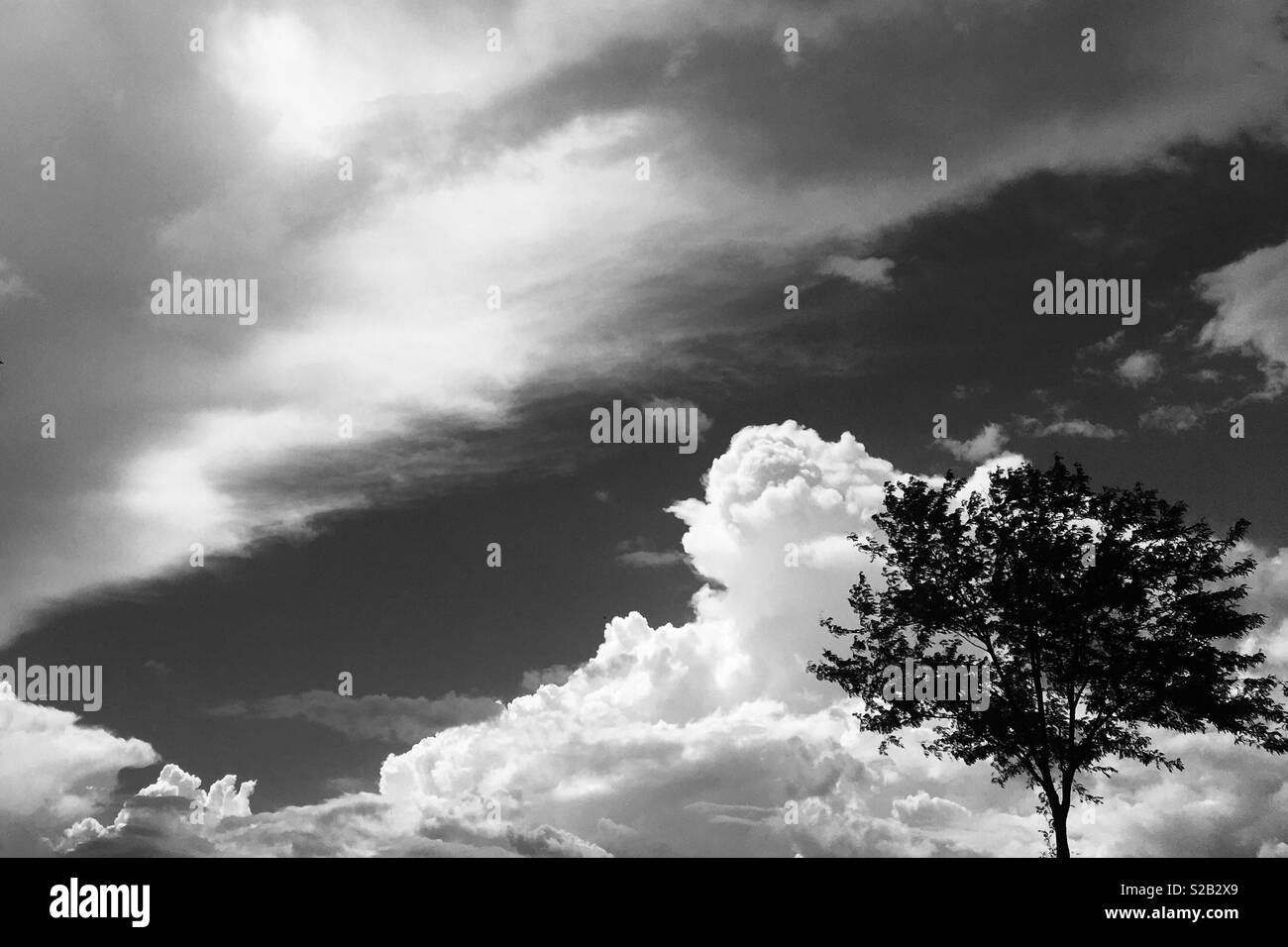Black and White Sky View Stock Photo - Alamy