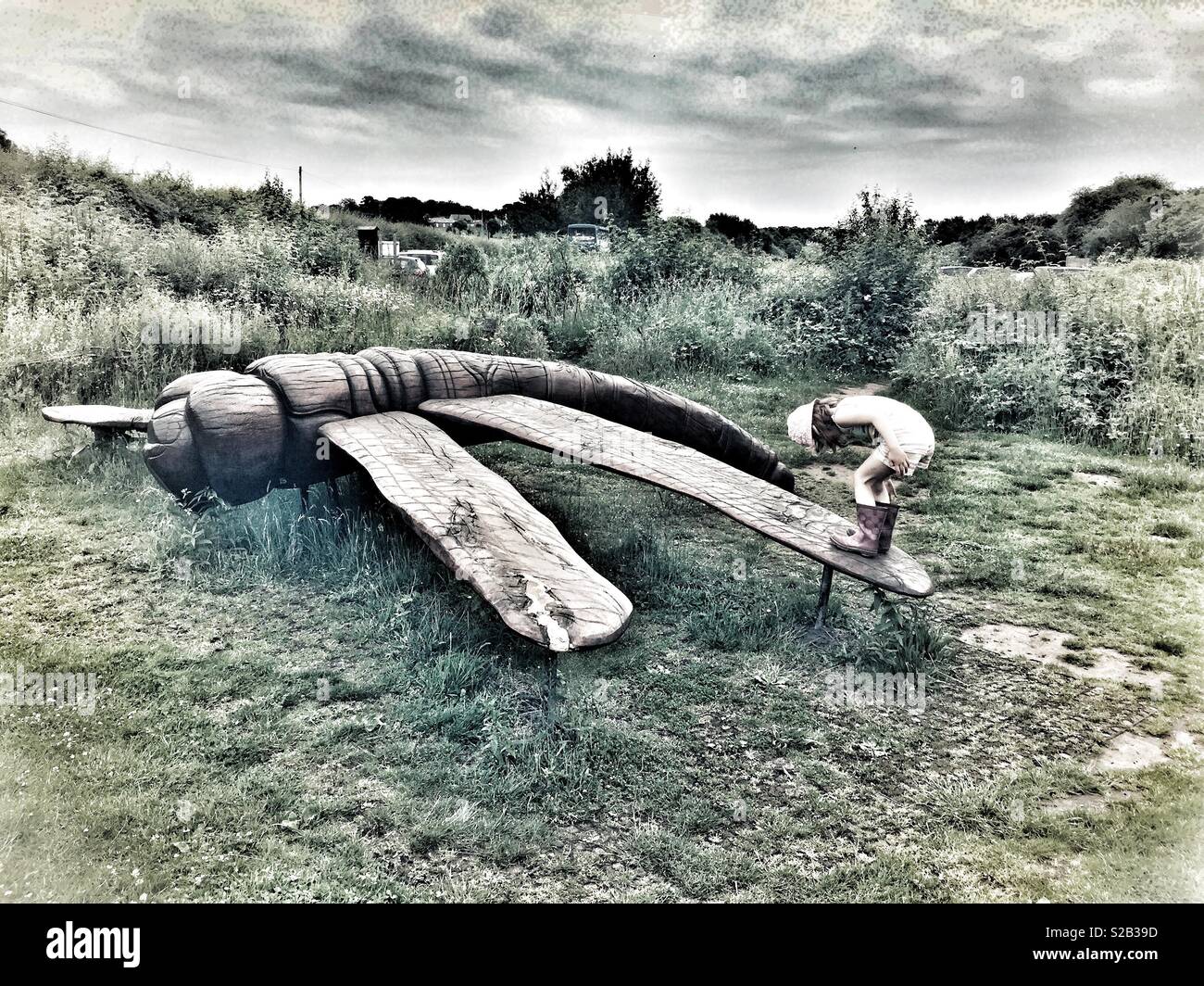 Small girl playing on wooden dragonfly at Fairburn Ings RSPB Nature Reserve, West Yorkshire, England, UK. Stock Photo