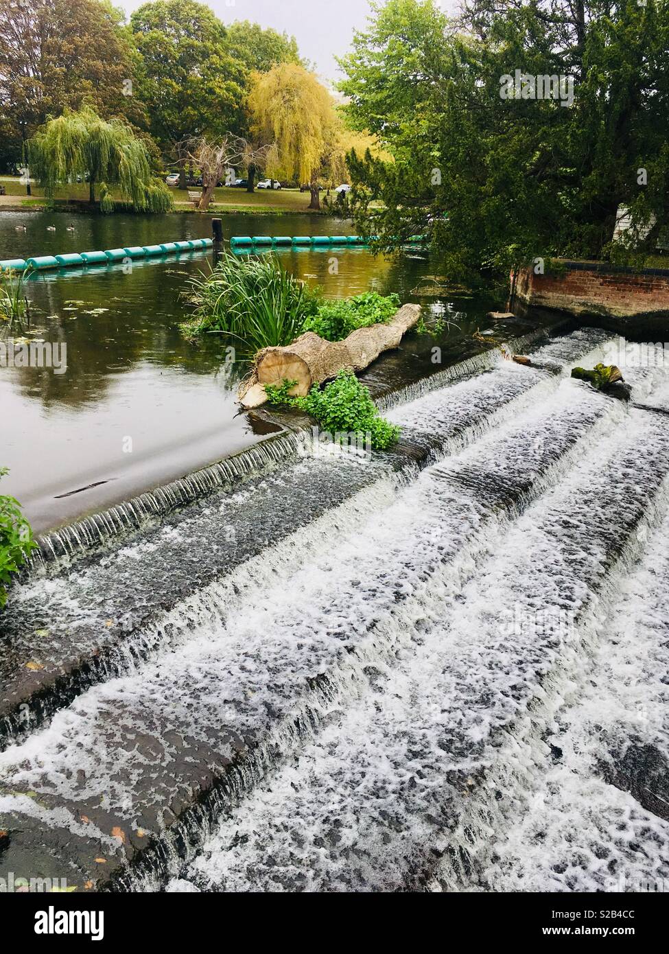 Log / tree stuck on a weir on the Great River Ouse, England - Smartphone Captured Stock Image