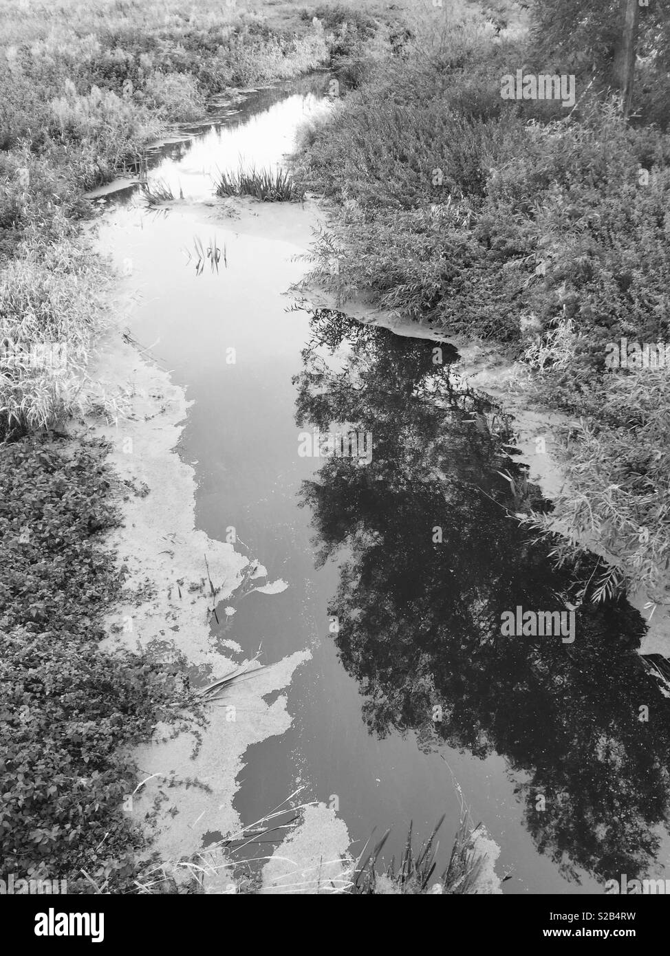 River - Smartphone Captured Stock Image