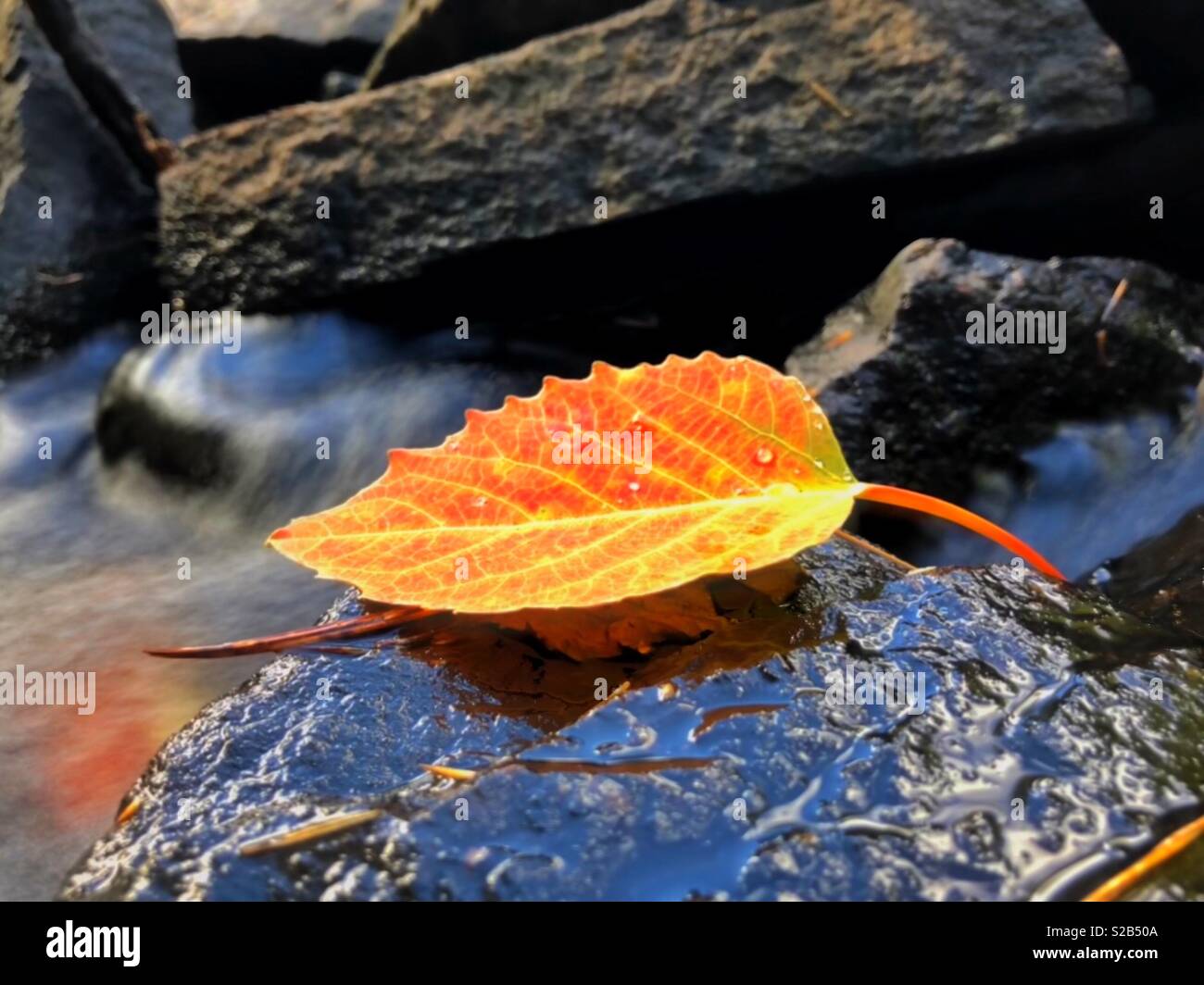Fall is such beauty Stock Photo
