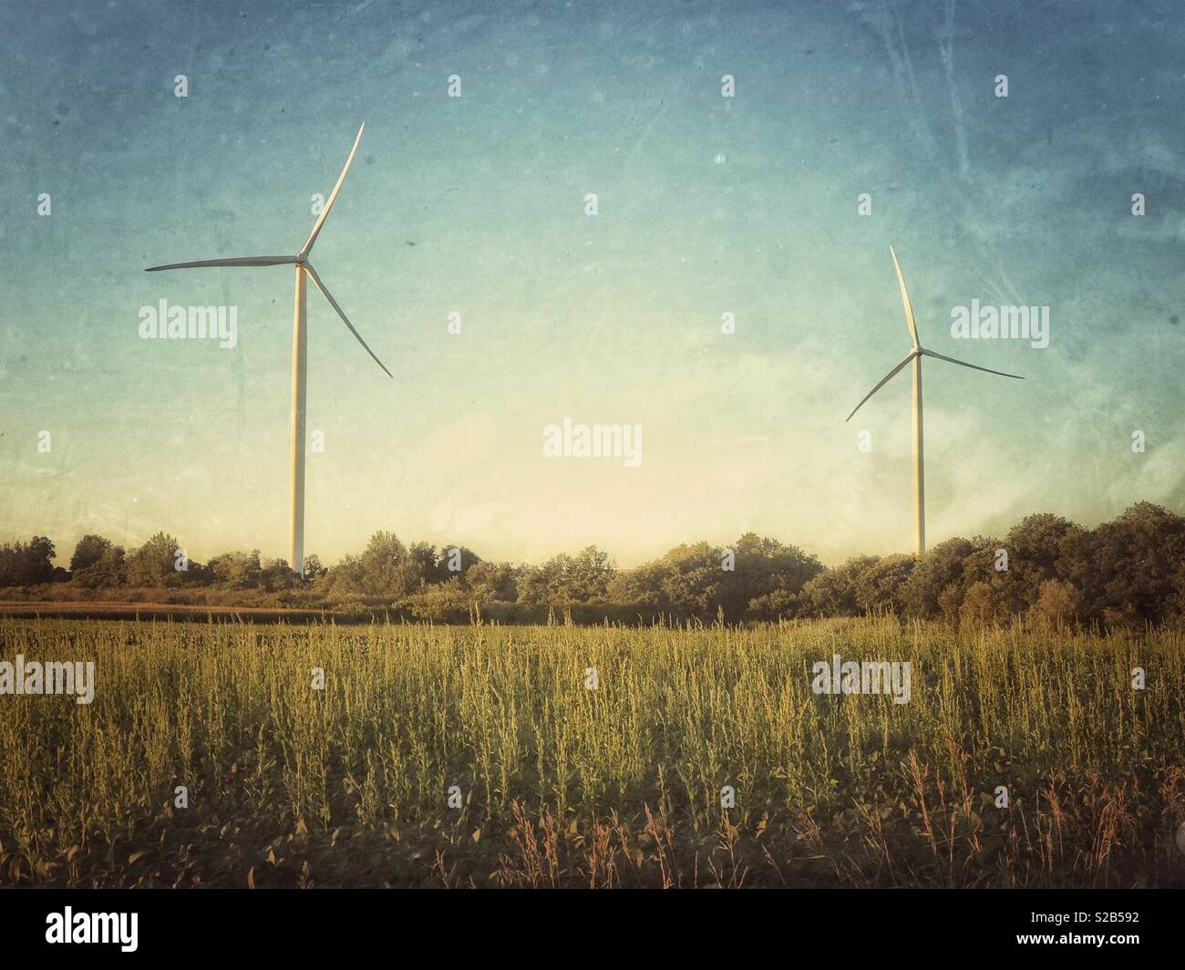 Two wind turbines in grassy farmland of Ontario Canada Stock Photo