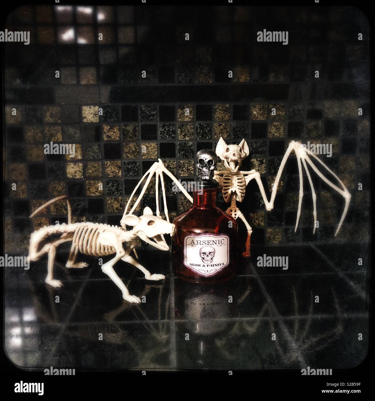 Rat and bat skeletons with bottle of poison for Halloween - Smartphone Captured Stock Image