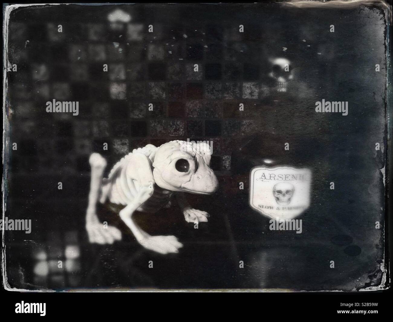 Creepy frog skeleton with bottle of arsenic for Halloween - Smartphone Captured Stock Image