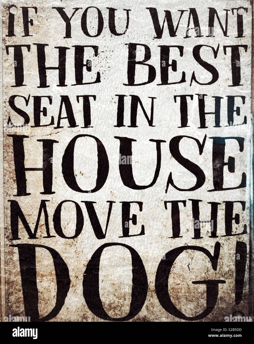 Humour. If you want the best seat in the house move the dog Stock Photo