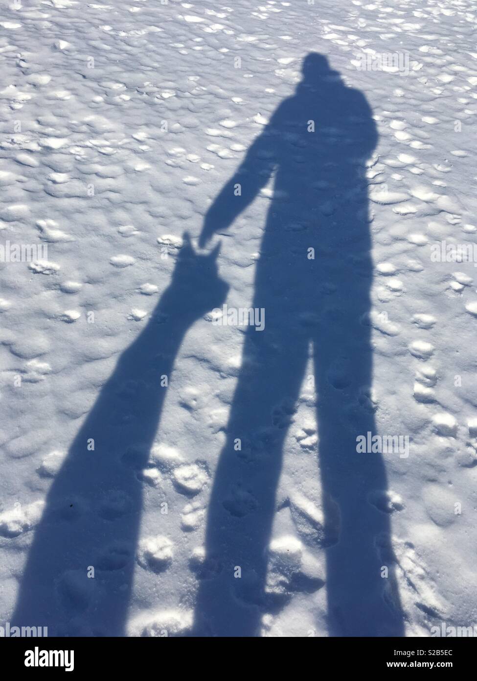 Man with dog shadow on a snow Stock Photo
