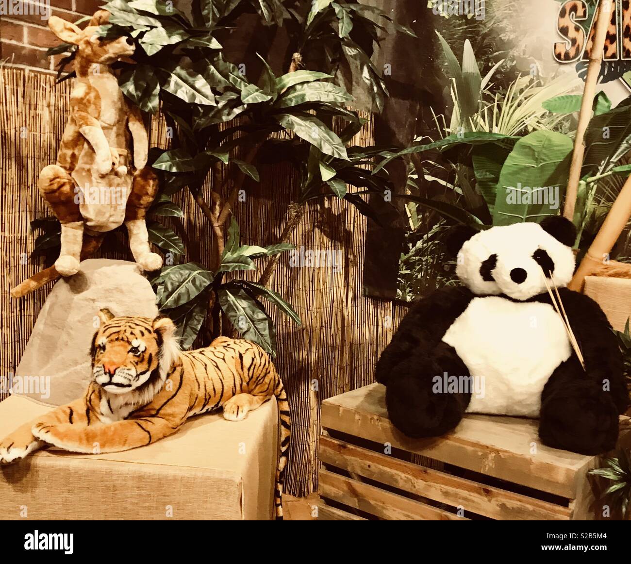 Brightly colored Safari toy stuffed animals panda bear, kangaroo and