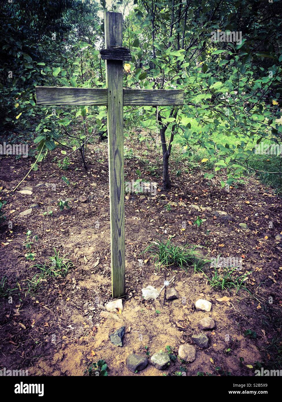 A wooden cross stands in a quiet forest. - Smartphone Captured Stock Image