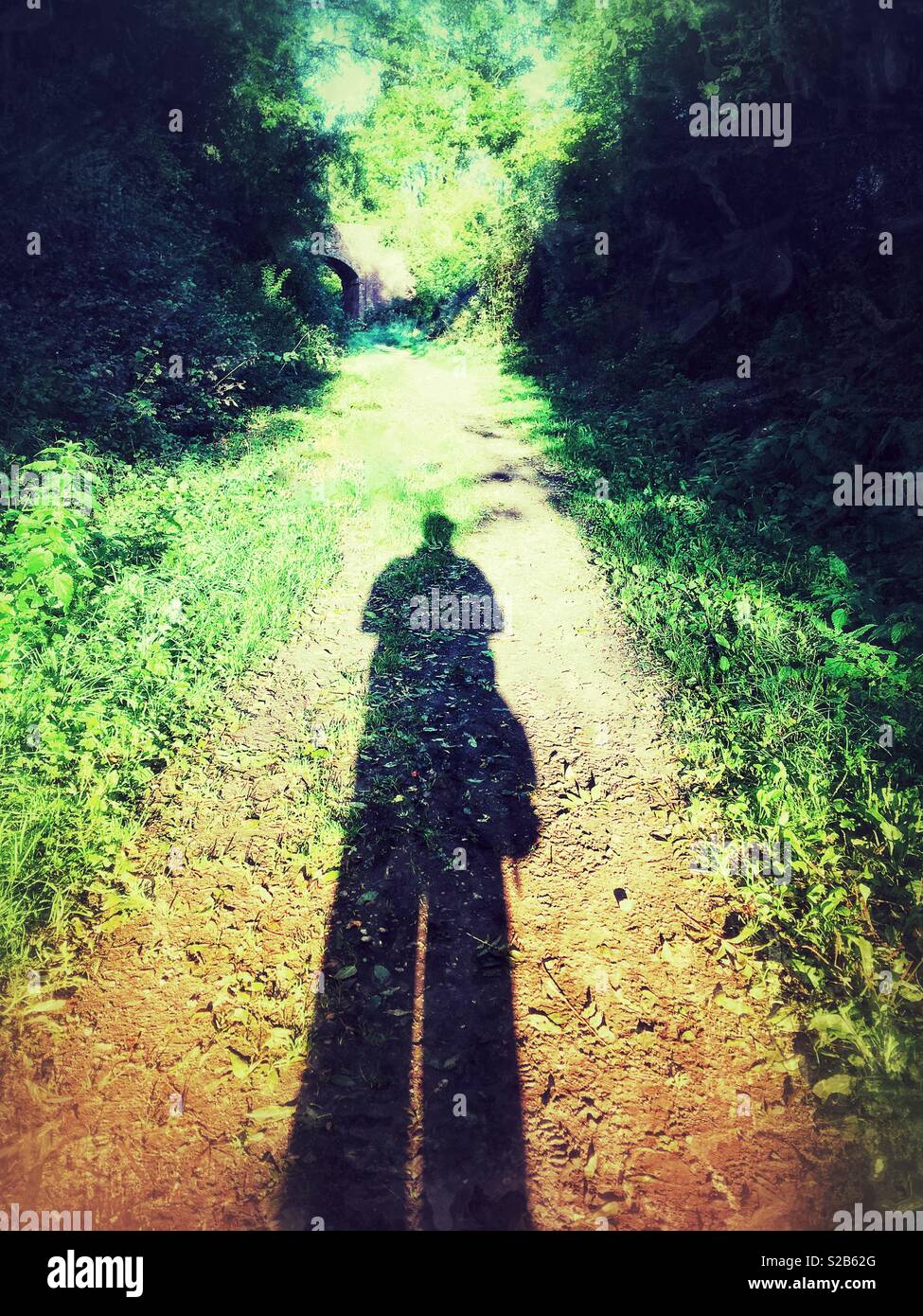 Tall shadow on a path through woods Stock Photo - Alamy