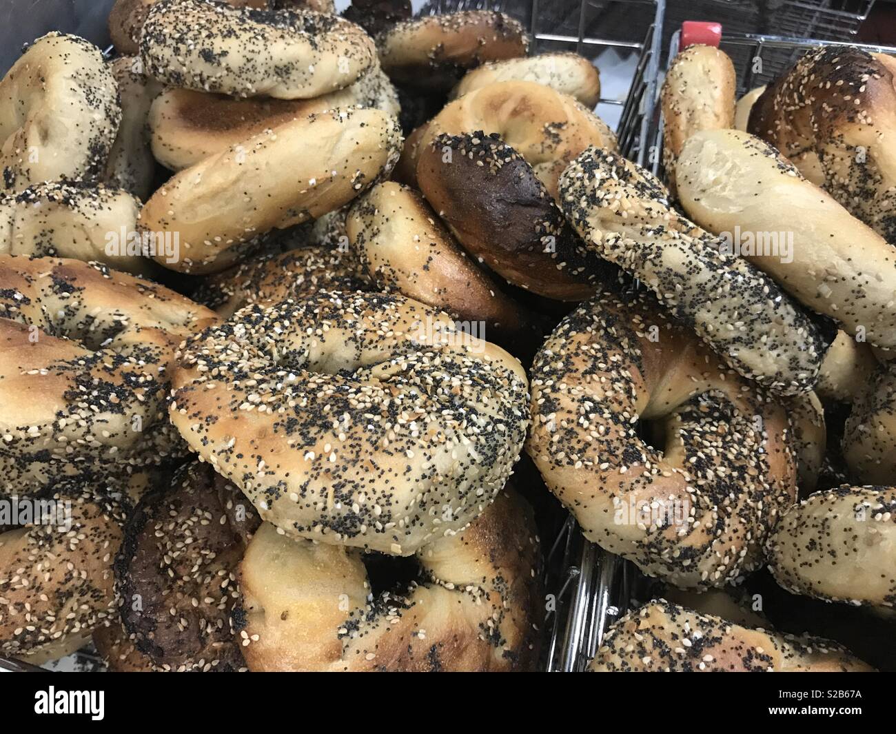 Absolute bagels hires stock photography and images Alamy