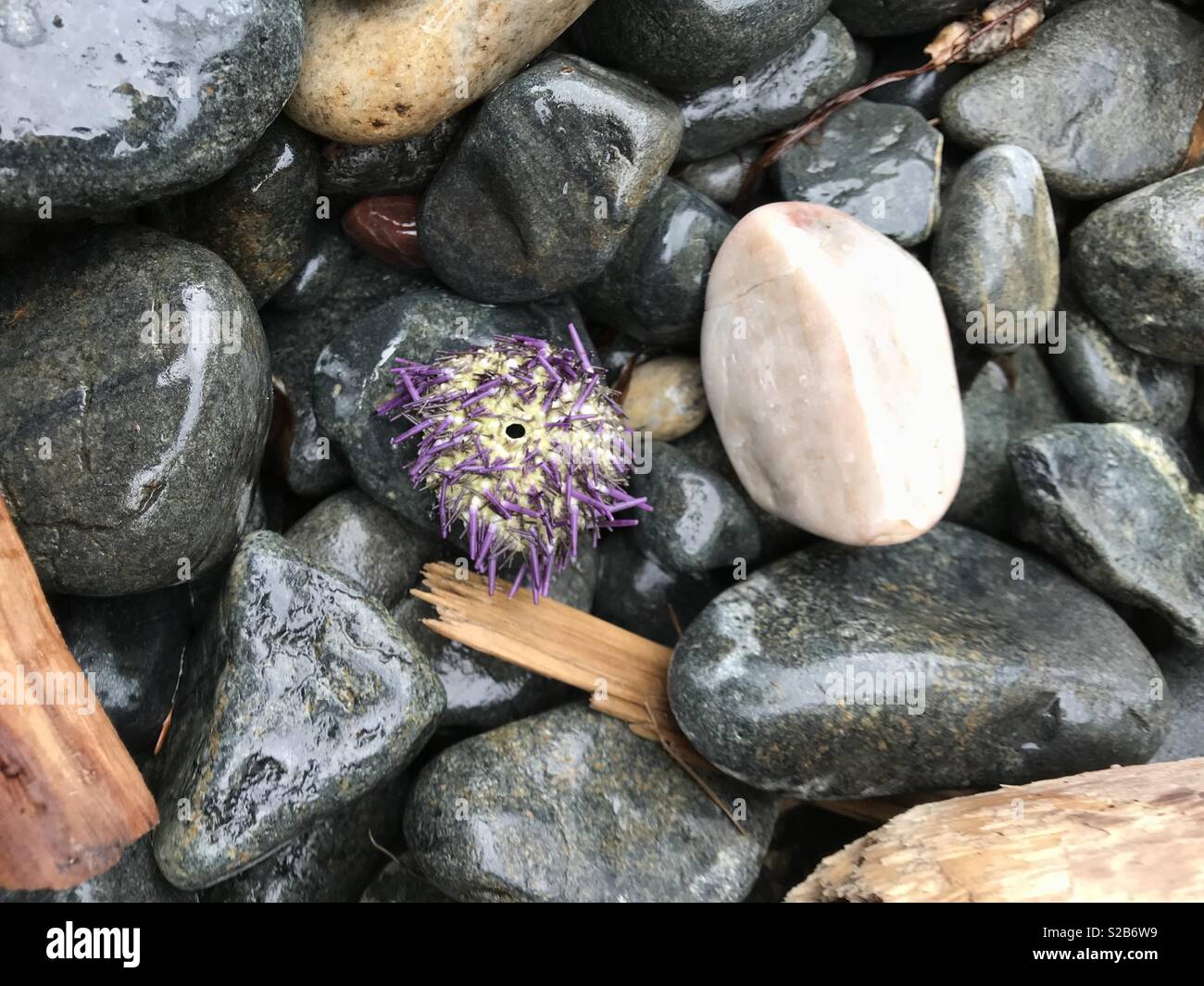 Drizzly High Resolution Stock Photography and Images - Alamy