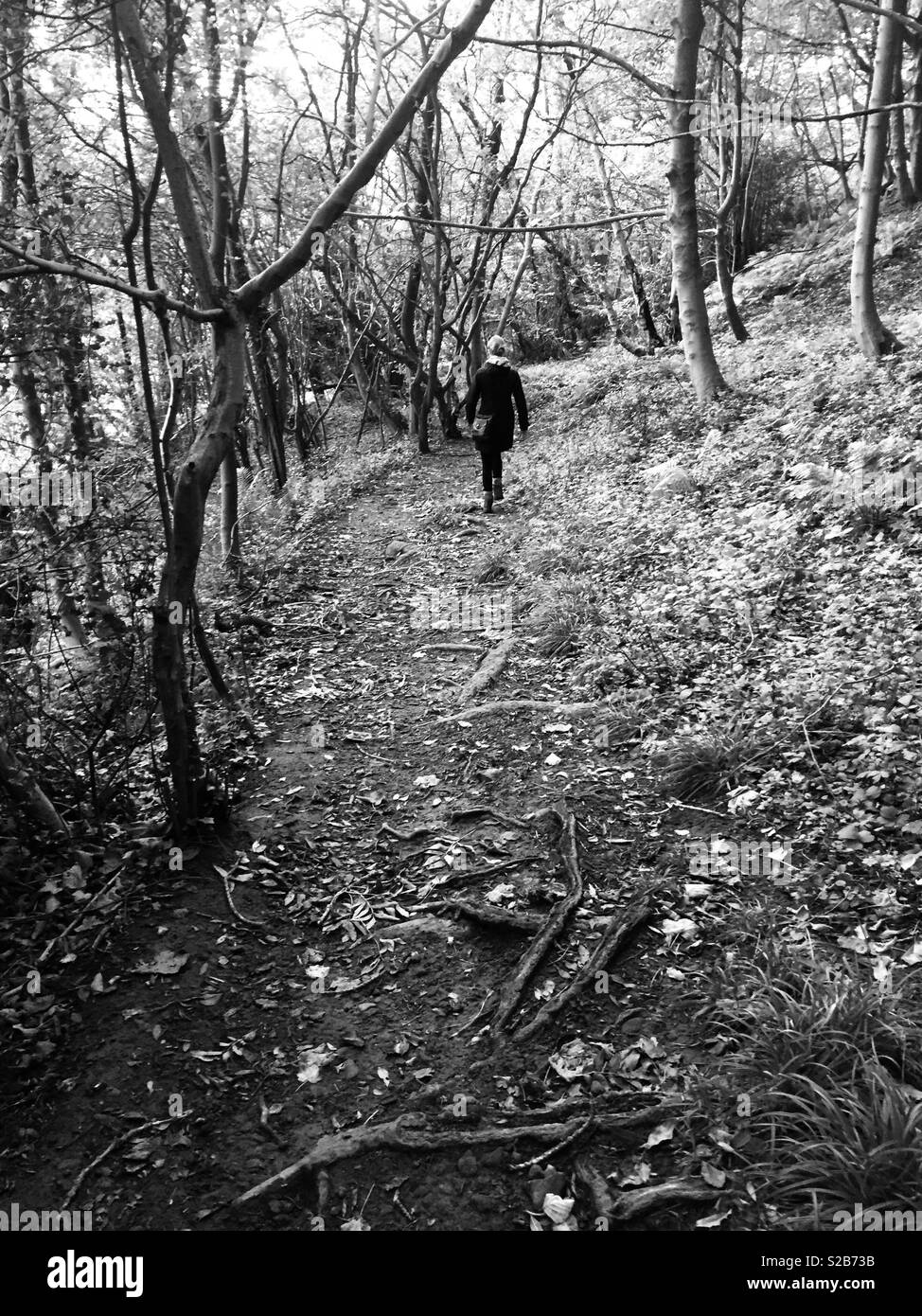 Woman walking through forest Black and White Stock Photos & Images - Alamy