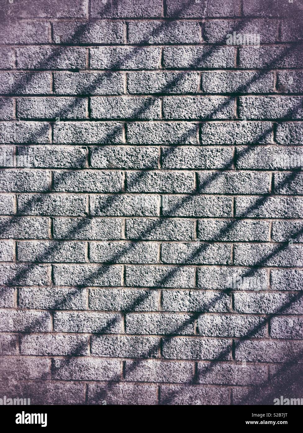 Shadows on a grey brick wall. Stock Photo
