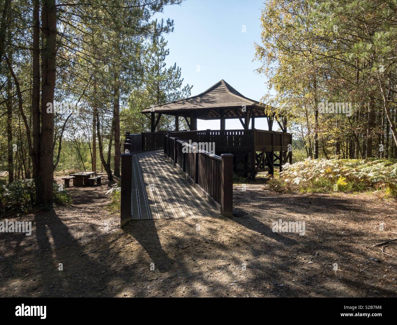 Treetop at Moors Country Park and Forest Stock Photo - Alamy