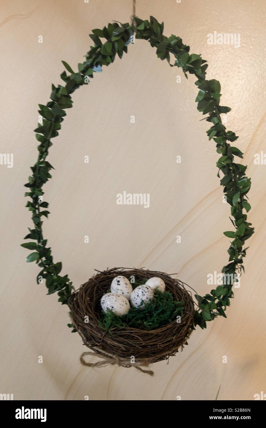Birds eggs in a basket Stock Photo