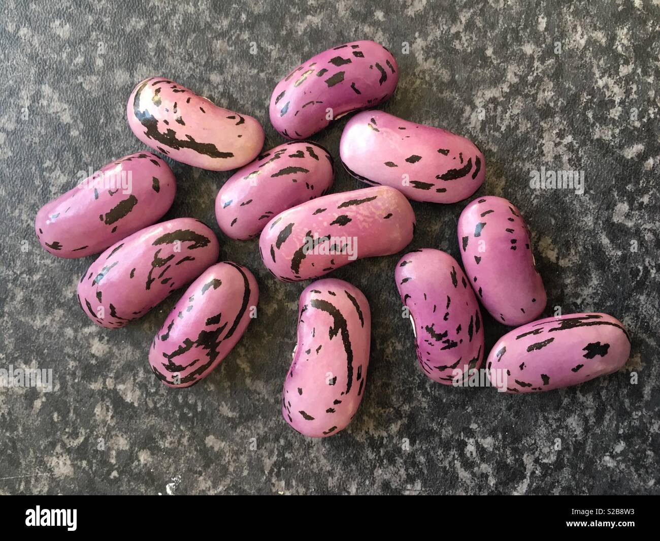 Runner bean seeds stock photo alamy