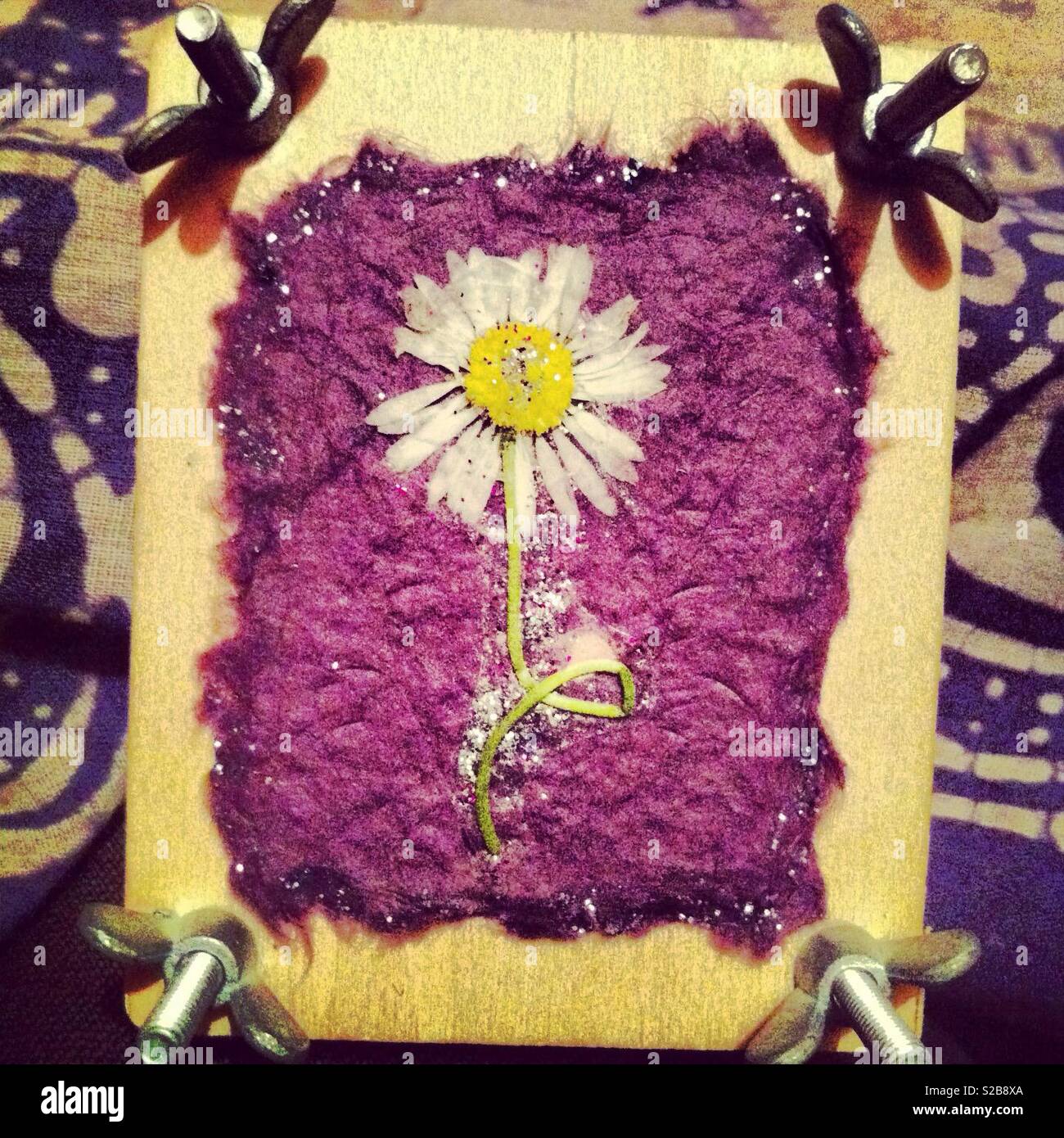 Daisy flower press Stock Photo Alamy