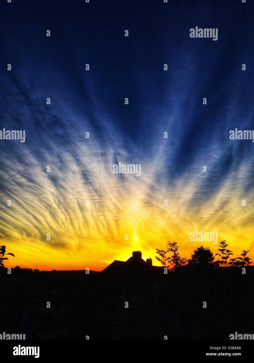 Fan Shaped Stock Photos & Fan Shaped Stock Images Alamy