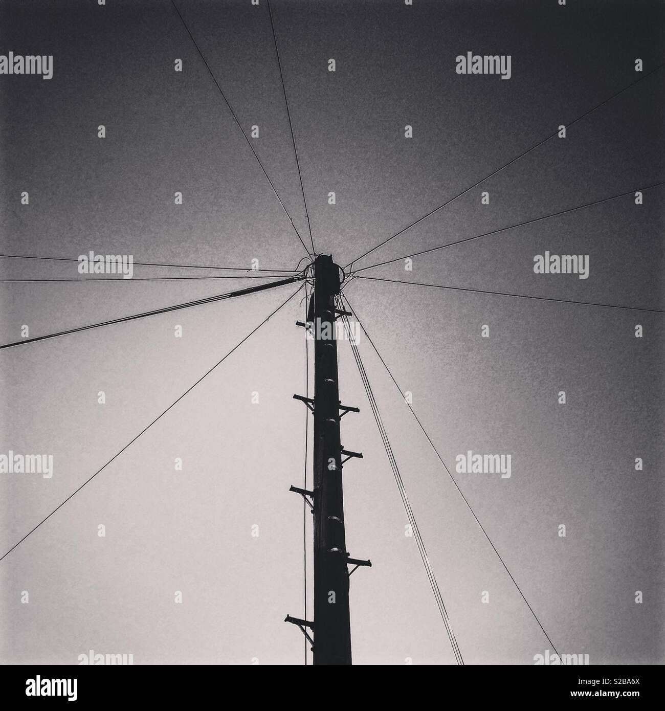 Telephone Wires Stock Photo Alamy