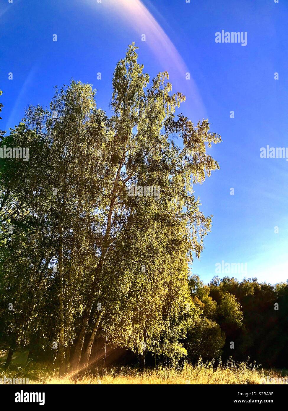 play of light - Smartphone Captured Stock Image