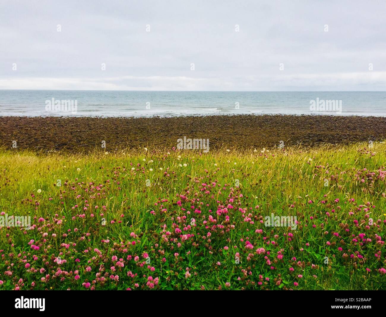 Seaside view - Smartphone Captured Stock Image