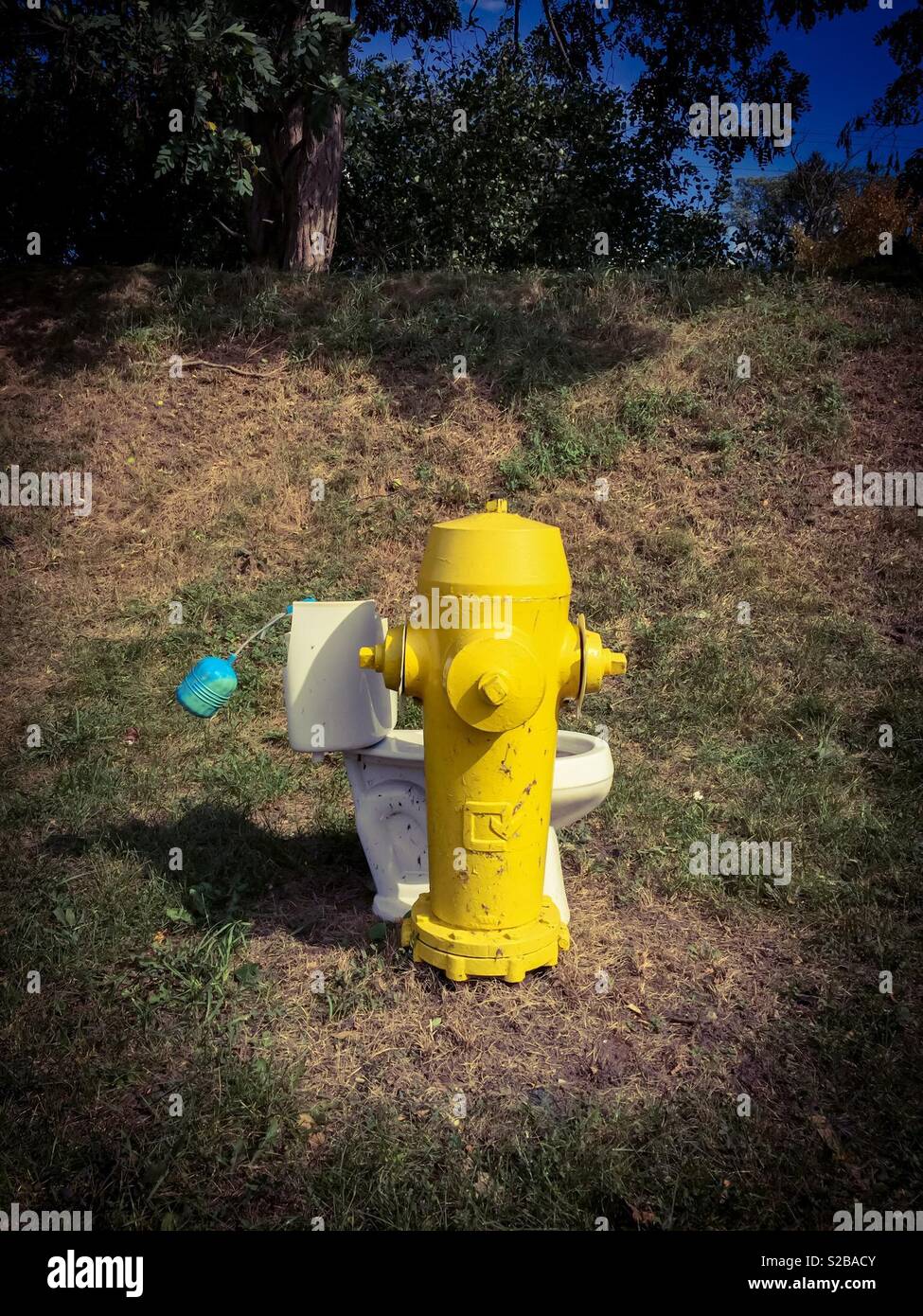 Outdoor toilet, literally. In every sense of the term, Ontario, Canada. Contemporary. Modern. Flush. Not functional. Useless. - Smartphone Captured Stock Image