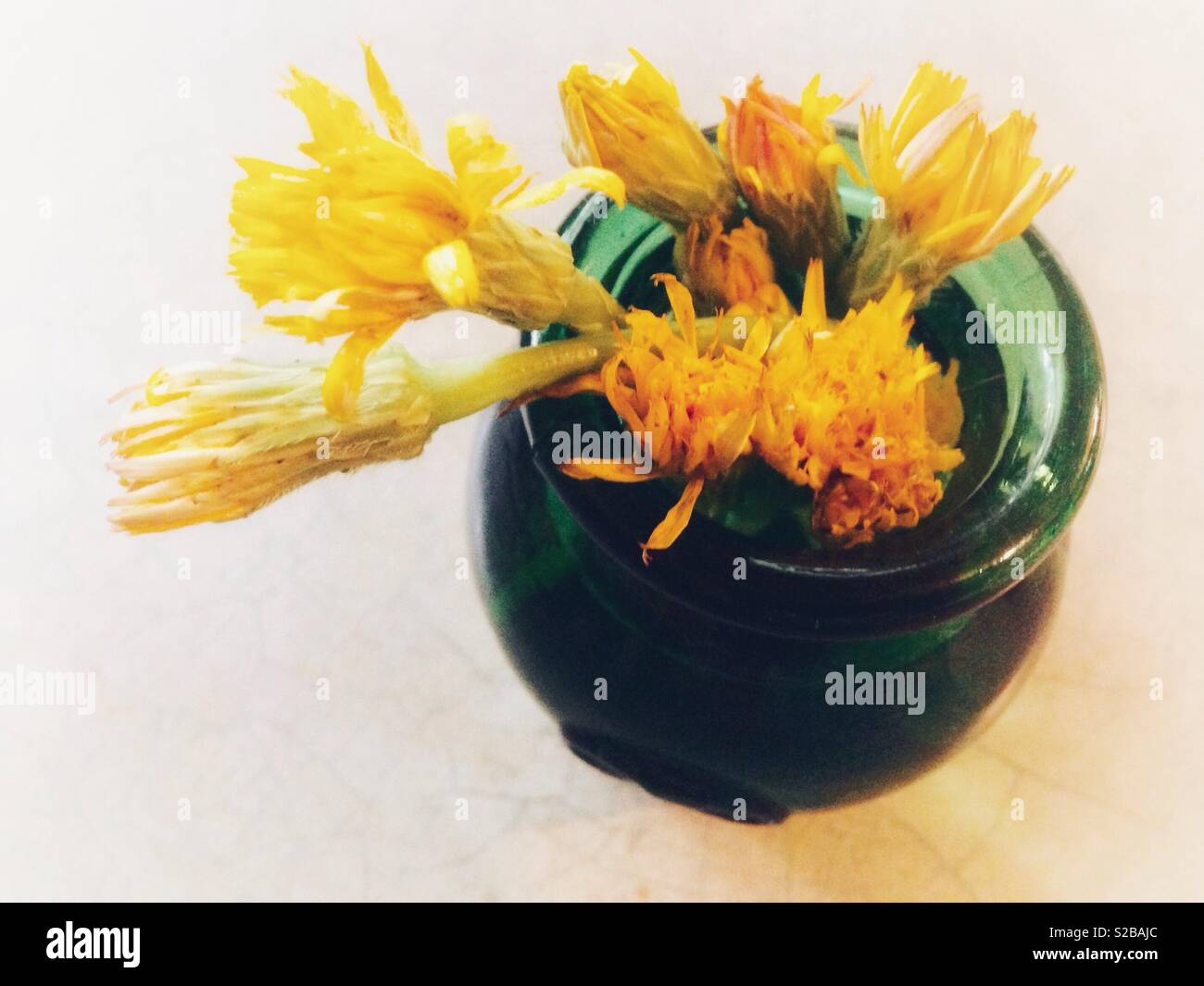 Overexposed photo of yellow dandelions in a green glass vase, viewed from above - Smartphone Captured Stock Image