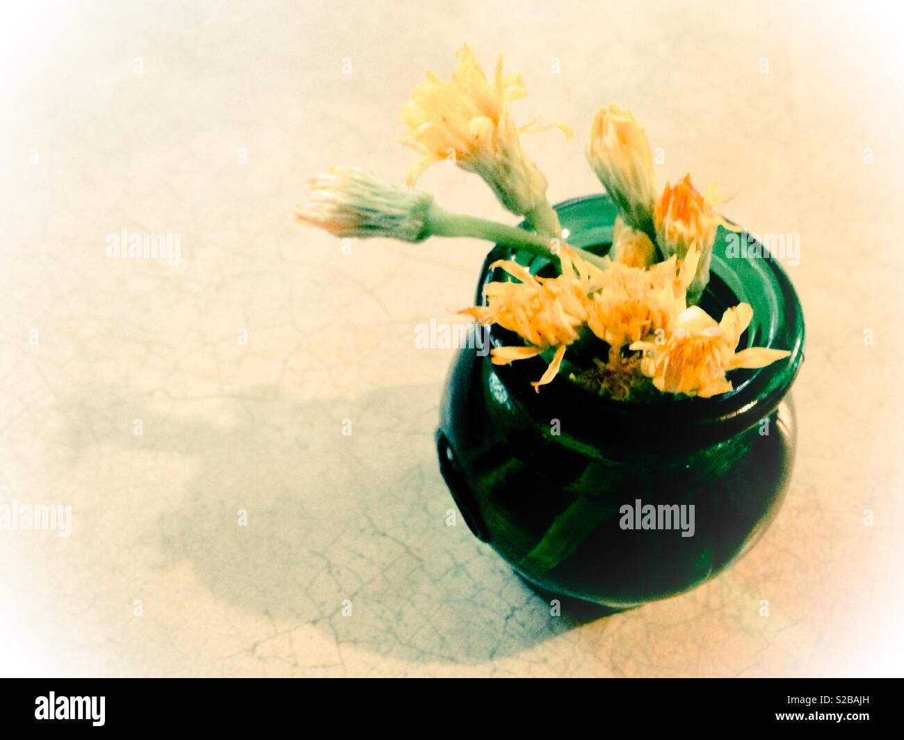 Overexposed photo of dandelions in a green glass vase - Smartphone Captured Stock Image