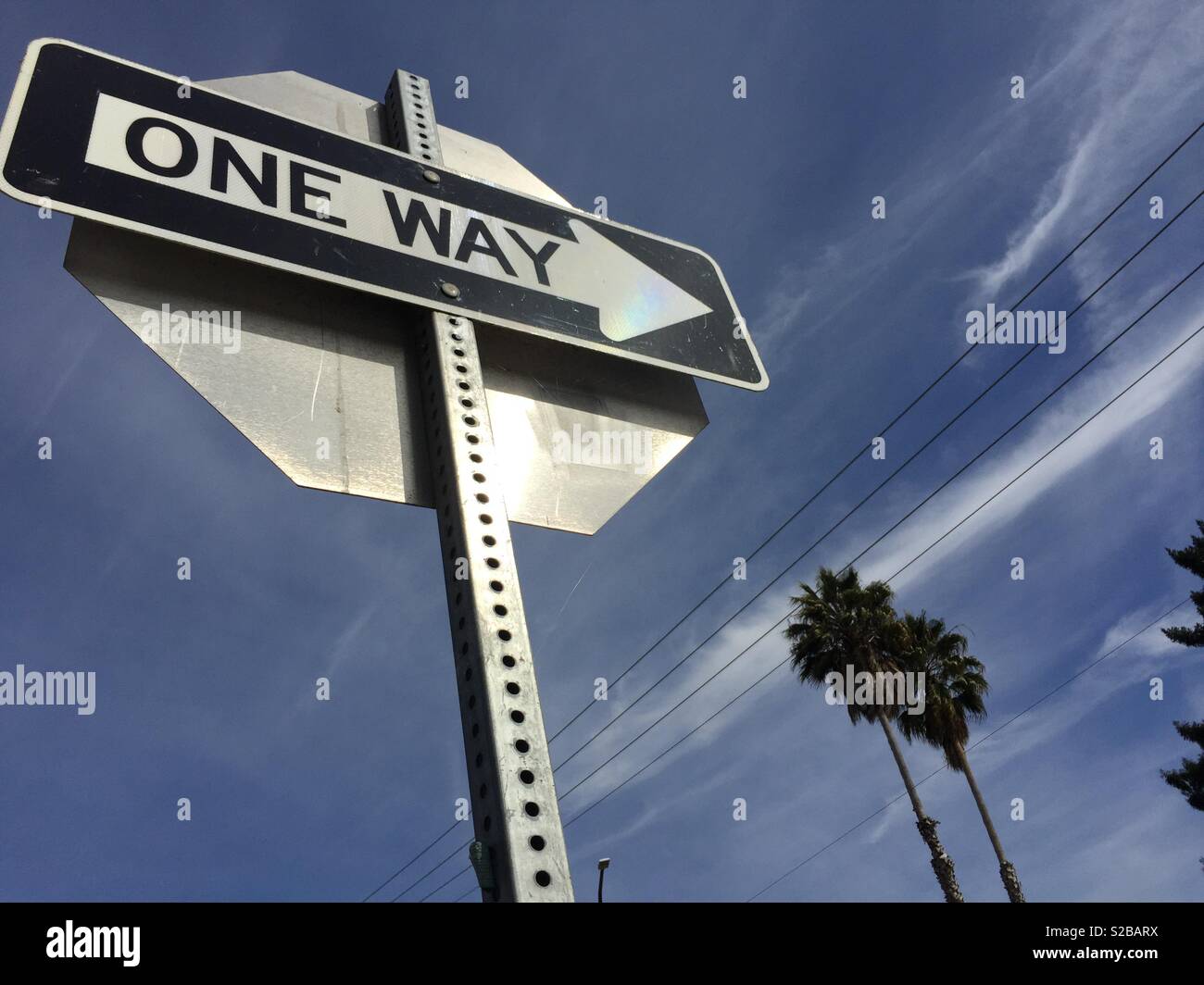 One way sign against blue sky with palm trees in the distance. - Smartphone Captured Stock Image