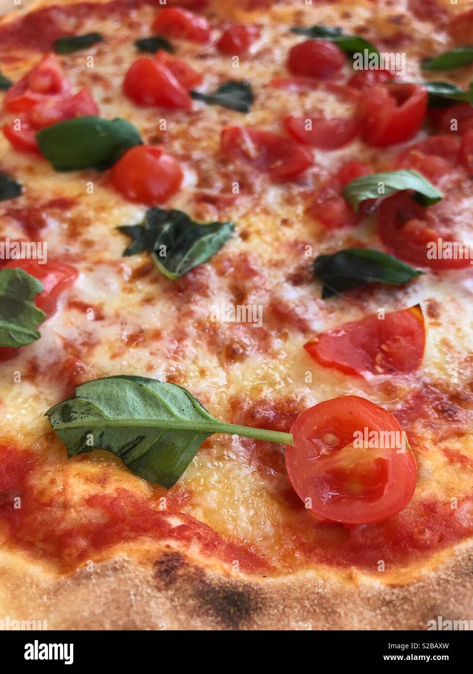Pizza with cherry tomatoes and fresh basil - Smartphone Captured Stock Image