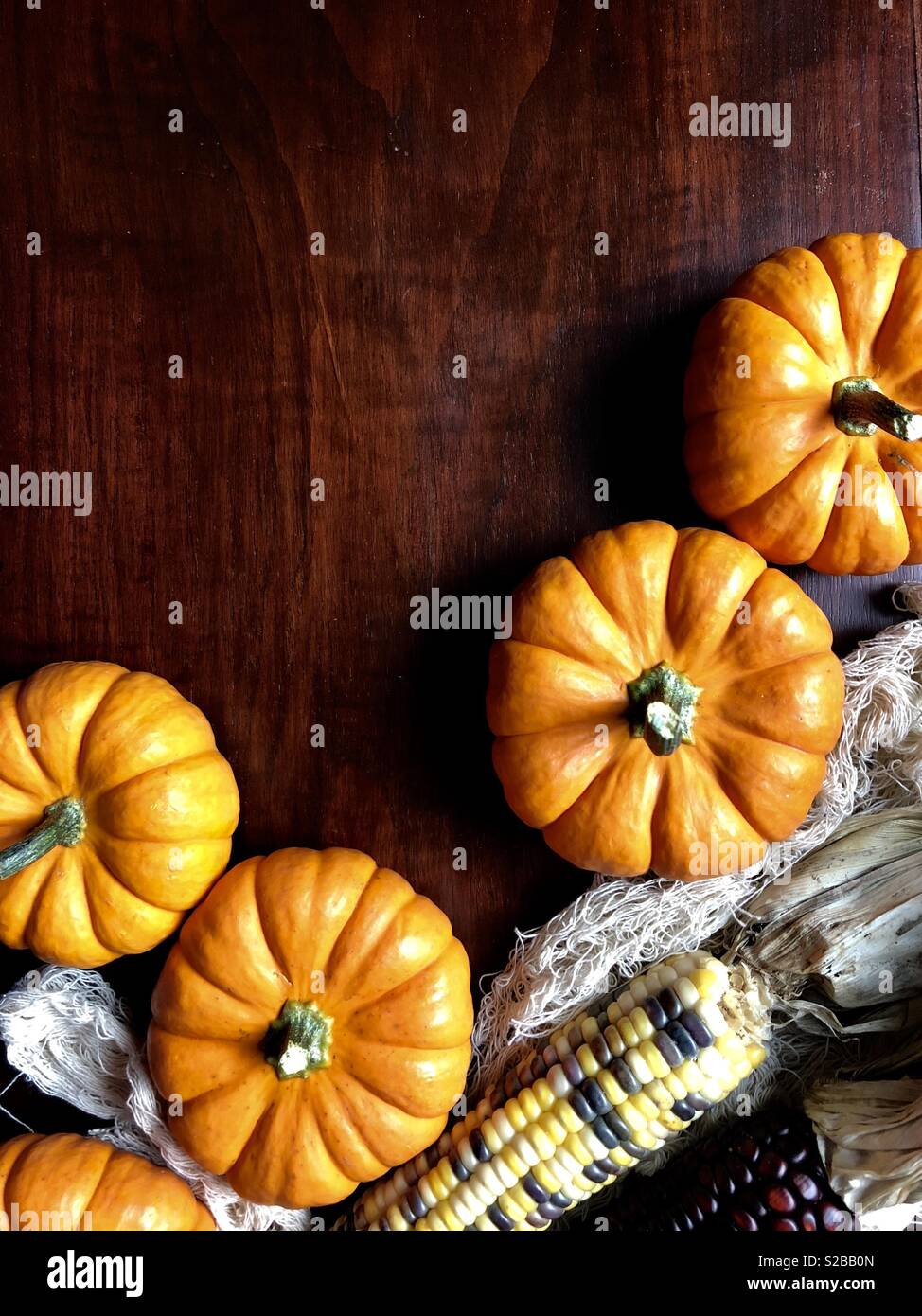 Fall decorations on dark wood - Smartphone Captured Stock Image