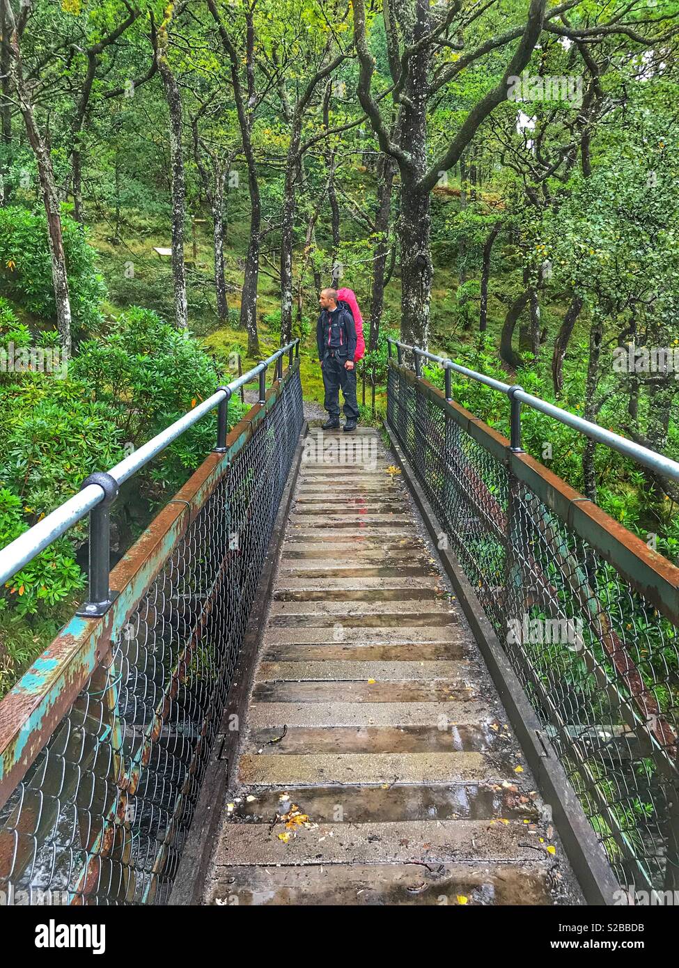 Hiker on footbridge over water fall, Loch Lomond and The Trossachs National Park, Inversnaid,Scotland - Smartphone Captured Stock Image