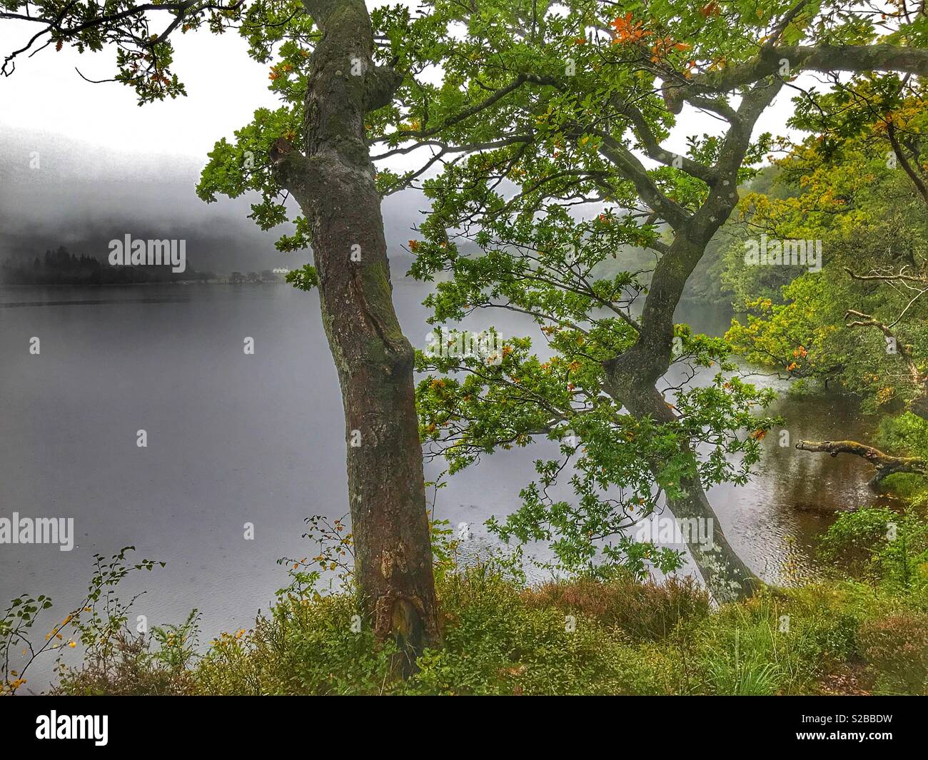 Misty morning over a loch, Loch Lomond and The Trossachs National Park, Perthshire, Scotland - Smartphone Captured Stock Image
