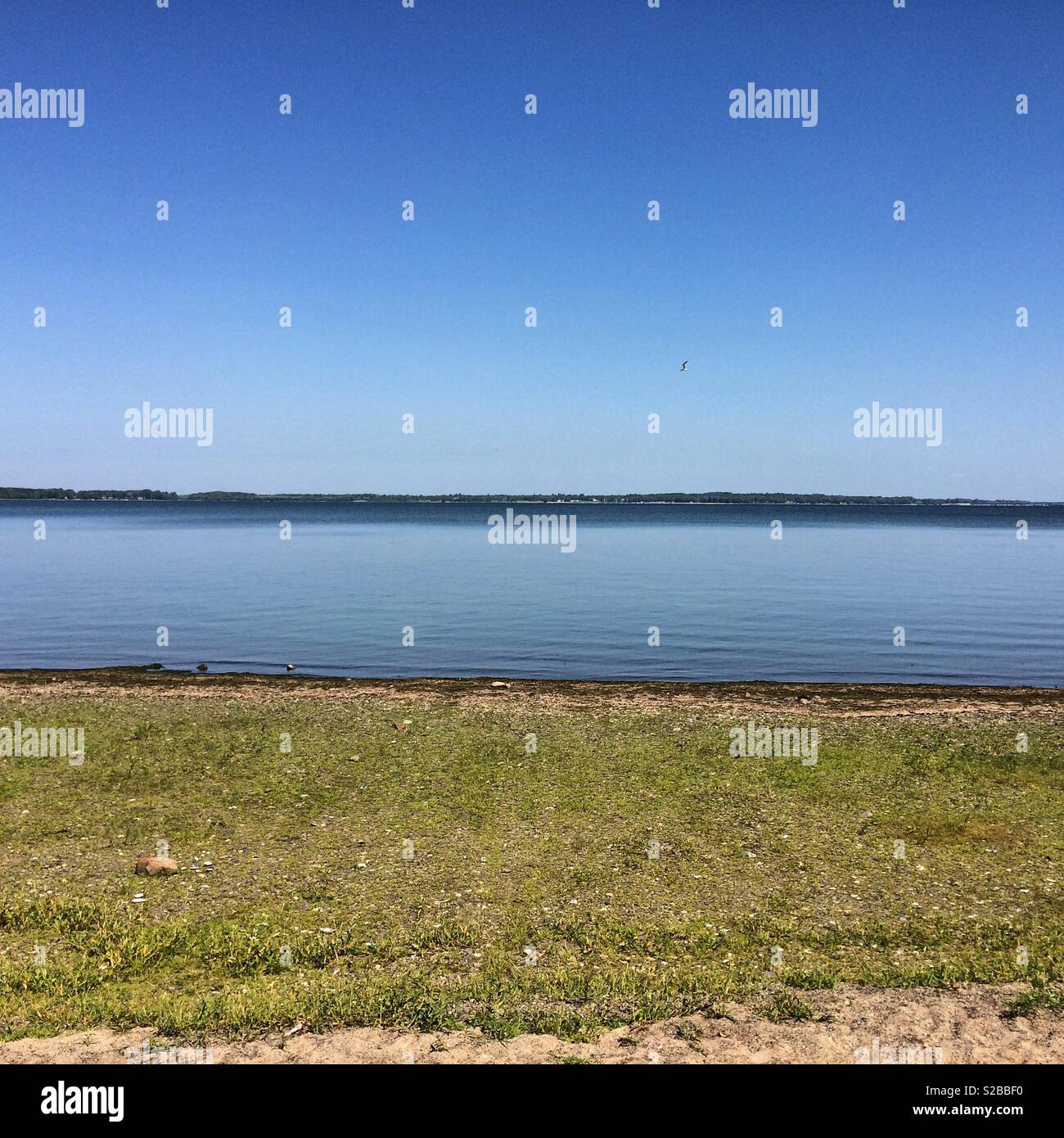 North Hero State Park, North Hero, Vermont, United States - Smartphone Captured Stock Image