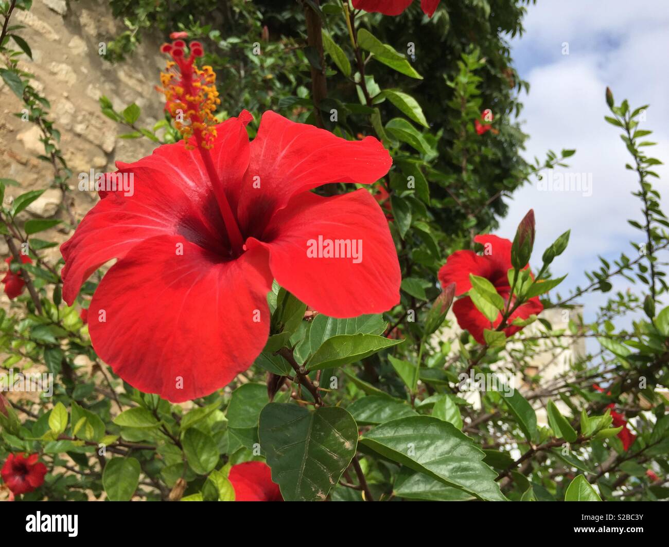 Stymen hires stock photography and images Alamy