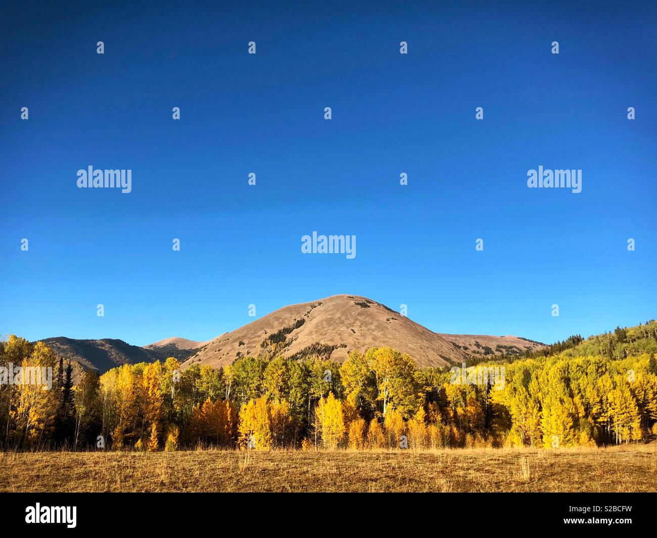 Fall Golden Hour in the Mountains - Smartphone Captured Stock Image