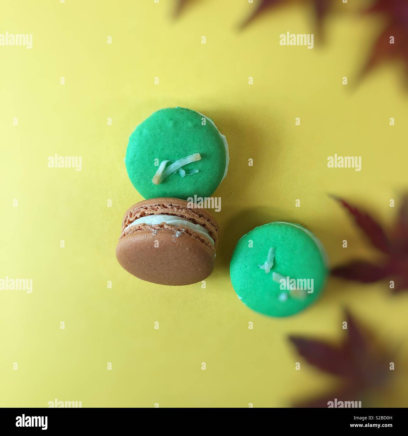 mint and chocolate macaroons on yellow background - Smartphone Captured Stock Image