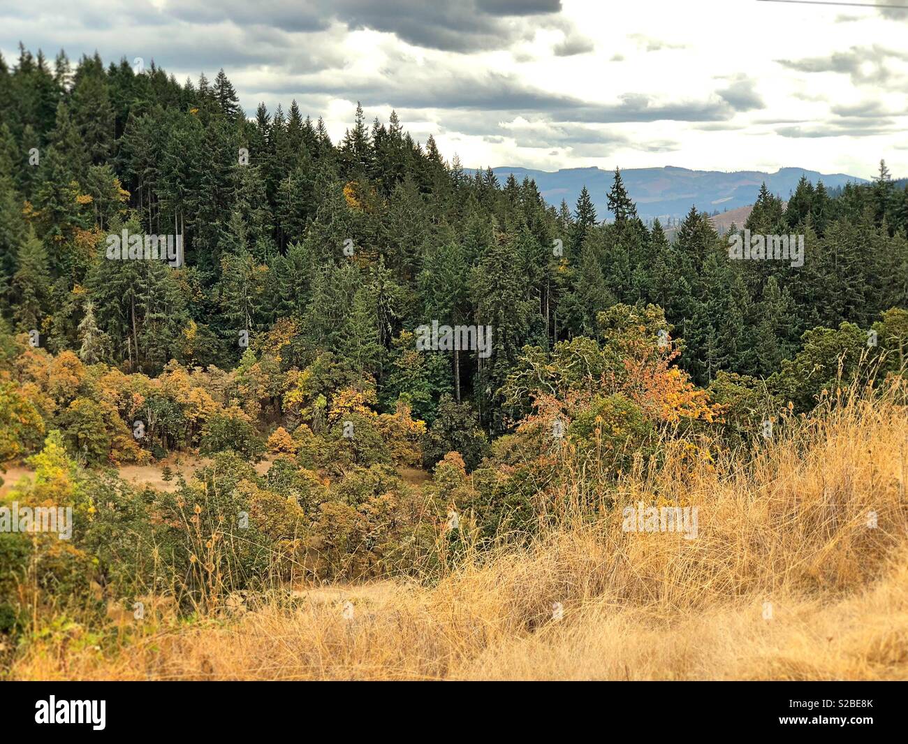 Mount Pisgah Arboretum in Eugene, Oregon, USA Stock Photo Alamy
