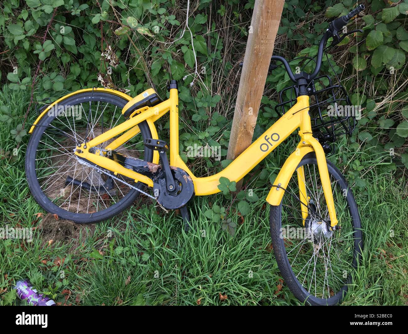 Bicicleta ofo hotsell
